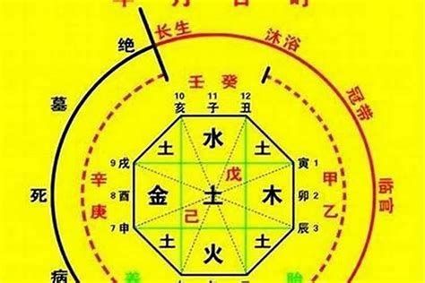 八字命盤五行|生辰八字算命、五行喜用神查詢（免費測算）